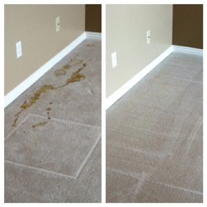 ARS Flood & Fire Cleanup Carpet Cleaning