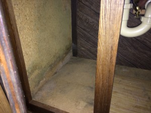 ARS Flood & FIre Cleanup Mold Remediation