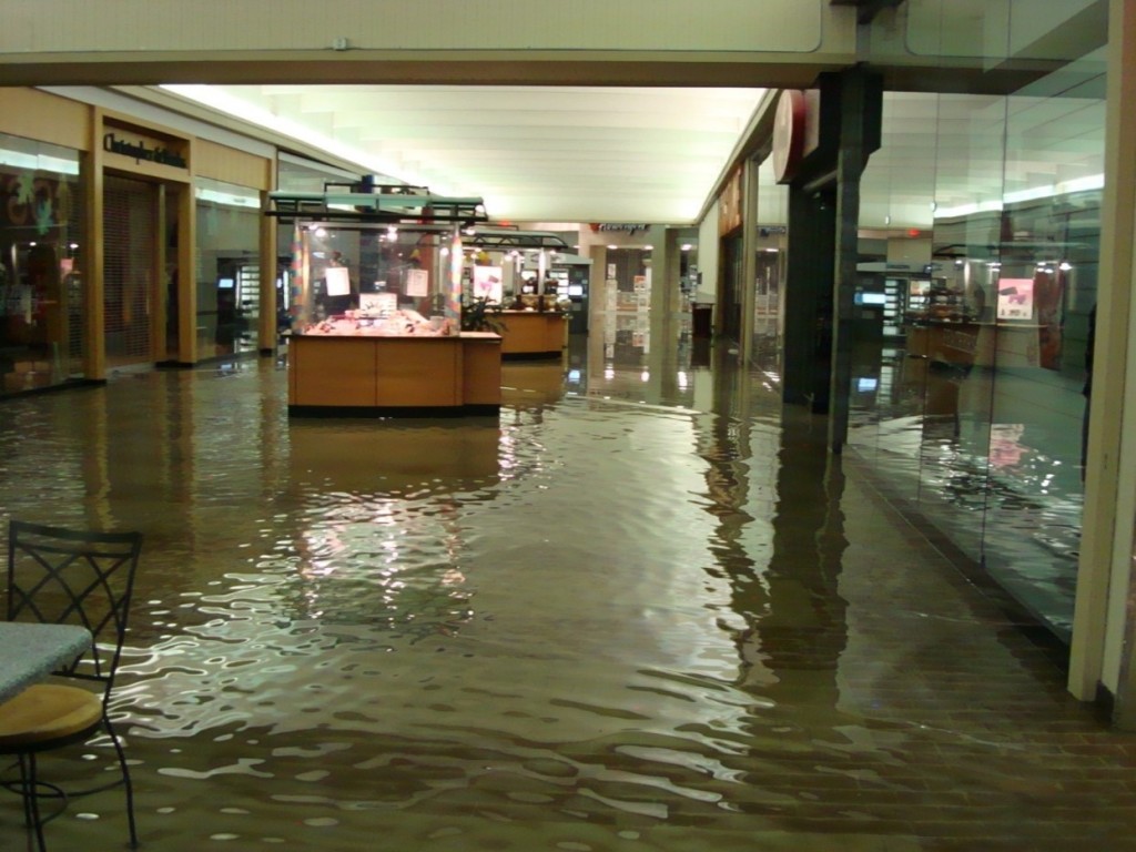 ARS Flood Cleanup