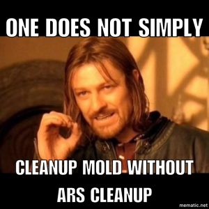 ARS Cleanup Mold