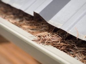 ARS Cleanup Clogged Gutters